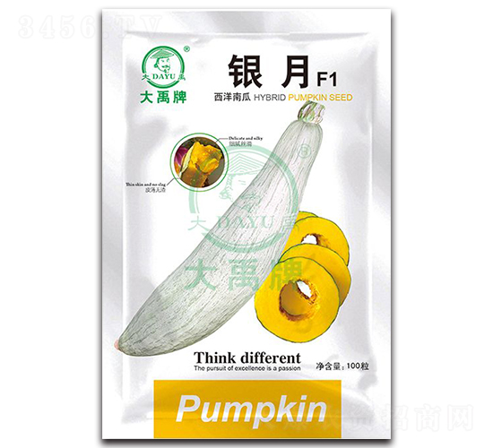 銀月西洋南瓜種子-大禹種業(yè)