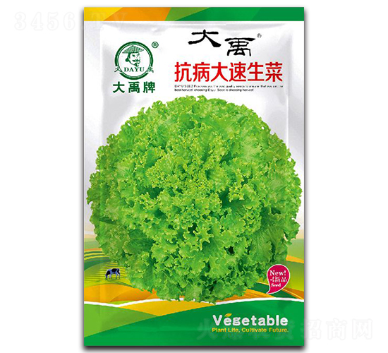 抗病大速生菜種子-大禹種業(yè)