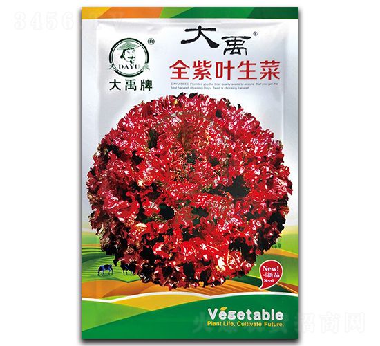 全紫葉生菜種子-大禹種業(yè)
