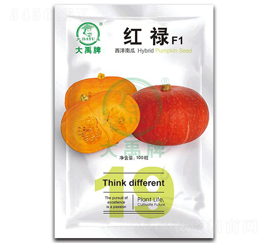 紅祿西洋南瓜種子-大禹種業(yè)