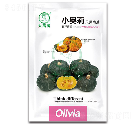 小奧莉貝貝南瓜種子-大禹種業(yè)