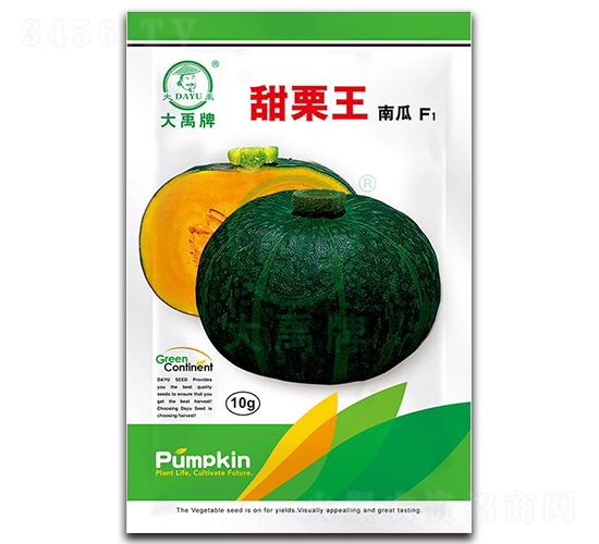 甜栗王南瓜種子-大禹種業(yè)