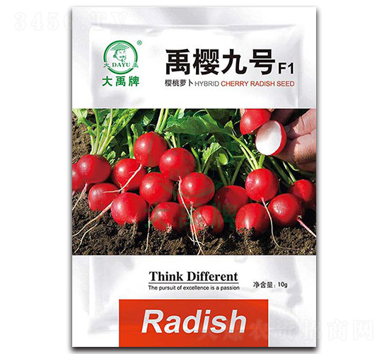 禹櫻九號(hào)櫻桃蘿卜種子-大禹種業(yè)
