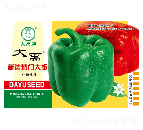 新選茄門(mén)大椒-辣椒種子-大禹種業(yè)