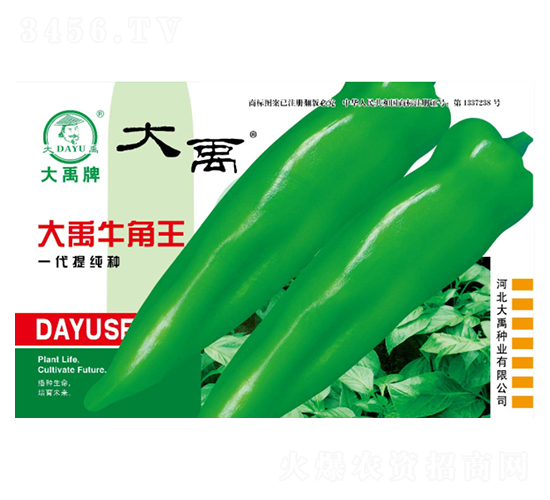 大禹牛角王-辣椒種子-大禹種業(yè)