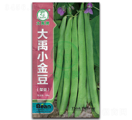 ����С��-�ܶ��N��-�����N�I(y��)