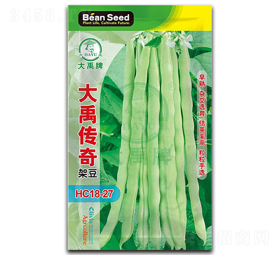 �������-�ܶ��N��-�����N�I(y��)