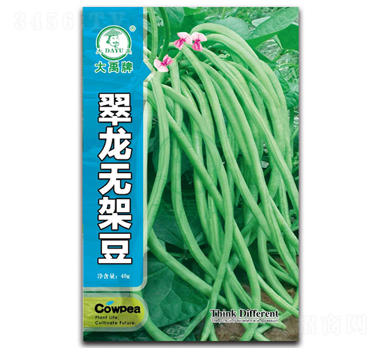 �����o�ܶ�-�ܶ��N��-�����N�I(y��)