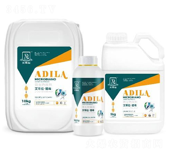 ���������C��-�W����ķ��