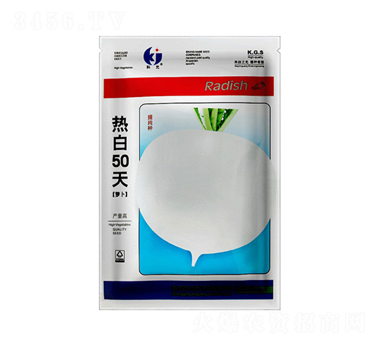 熱白50天蘿卜-科光種苗