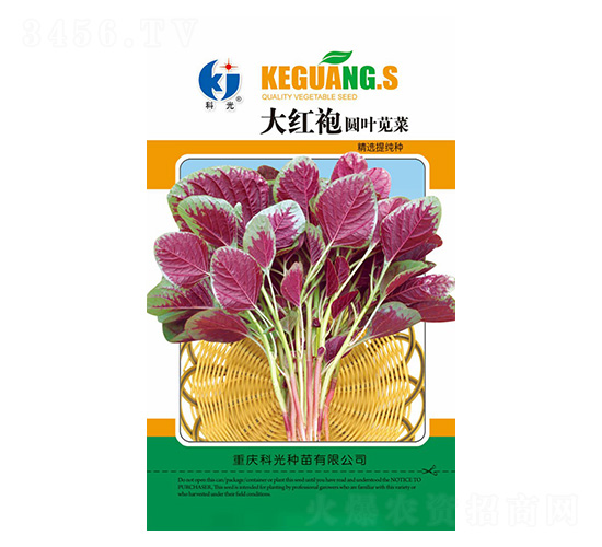 大紅袍圓葉莧菜-科光種苗