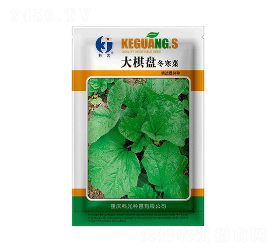 大棋盤(pán)冬寒菜-科光種苗