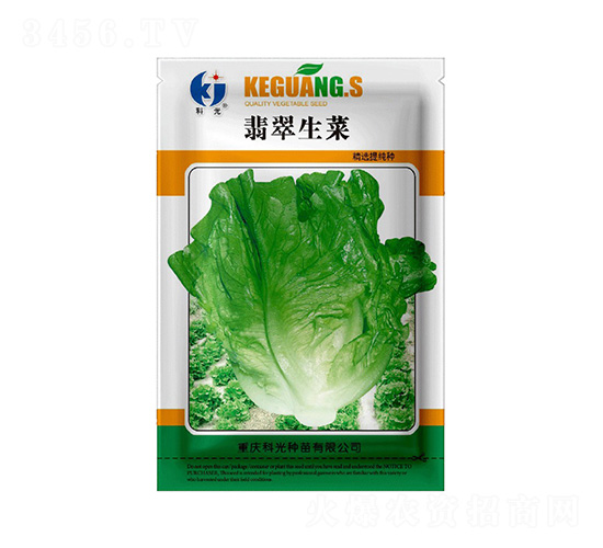 翡翠生菜-科光種苗