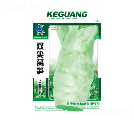 雙尖萵筍-科光種苗