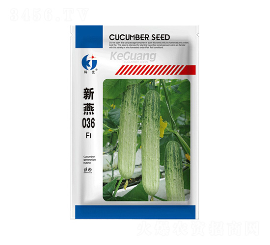 新燕036-科光種苗