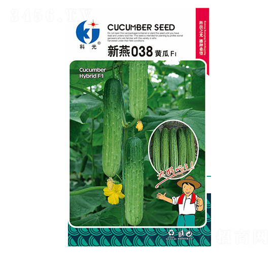 新燕038-科光種苗