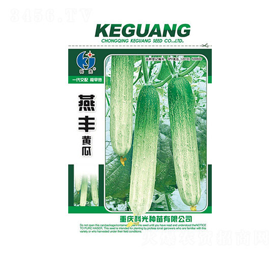 燕豐黃瓜-科光種苗