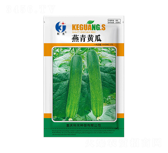 燕青黃瓜-科光種苗