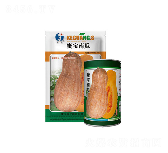 蜜寶南瓜-科光種苗