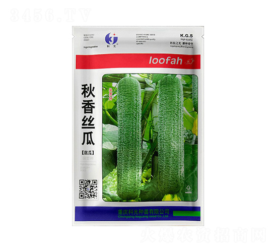 秋香絲瓜-科光種苗