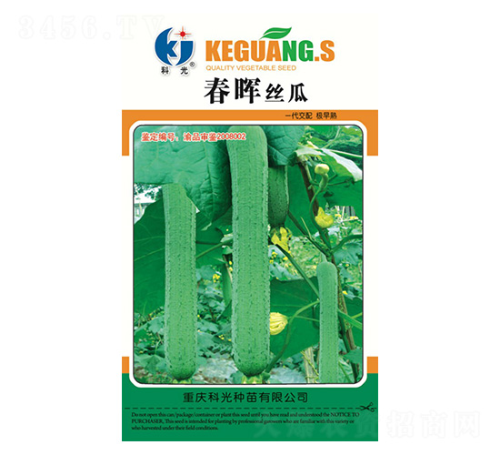 春暉絲瓜-科光種苗