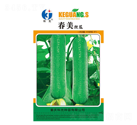 春美絲瓜-科光種苗