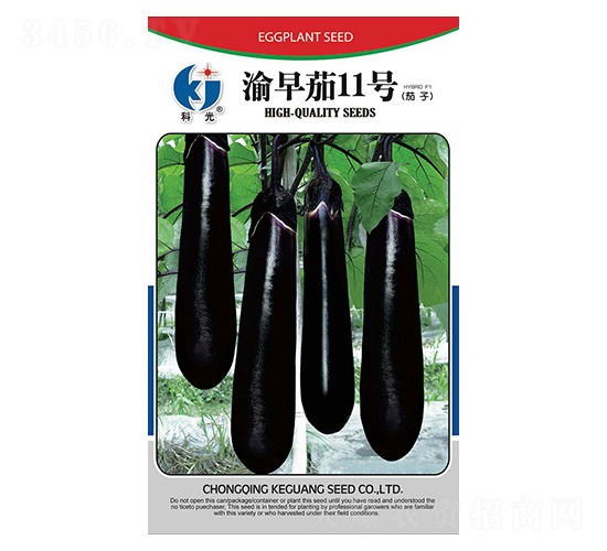 渝早茄11號-科光種苗