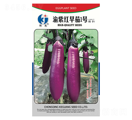 渝紫紅早茄1號(hào)-科光種苗