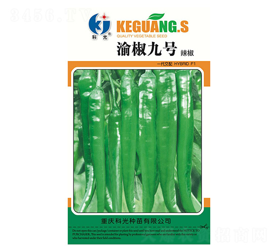 渝椒9號-科光種苗