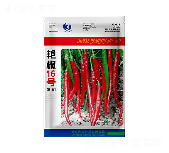艷椒16號(hào)-科光種苗