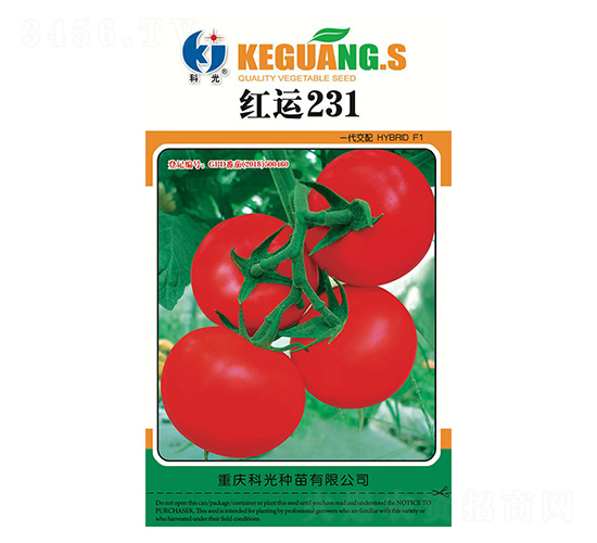 紅運(yùn)231-科光種苗