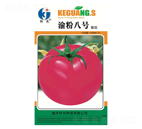 ���8̖-�ƹ�N��