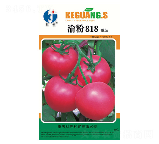 渝粉818-科光種苗