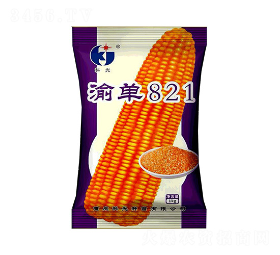 渝單821-科光種苗