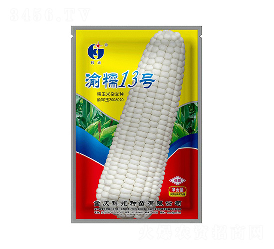 渝糯13號-科光種苗