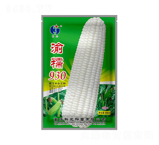 渝糯930-科光種苗