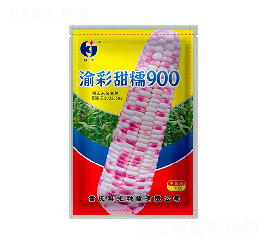 渝彩甜糯900-科光種苗