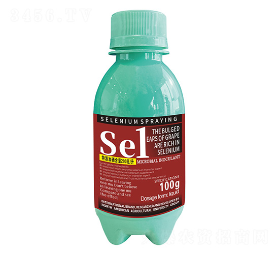 100��������������������1̖-�����r��