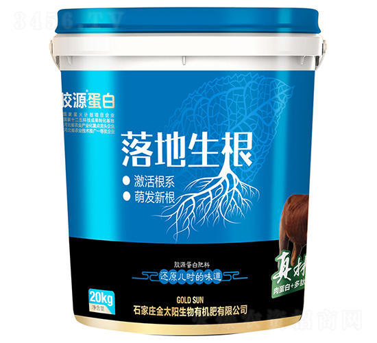 膠源蛋白肥料-落地生根-金太陽