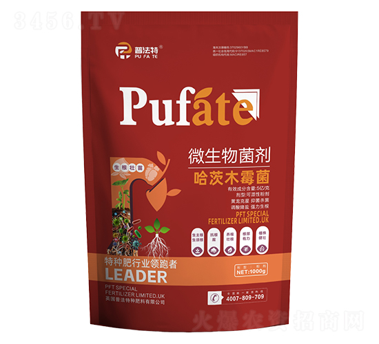 ΢�������-����ľù��-�շ���