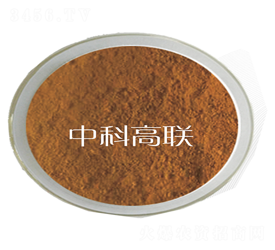 ��(f��)�Ϻ����ѽ�ø-��˹�r(n��ng)