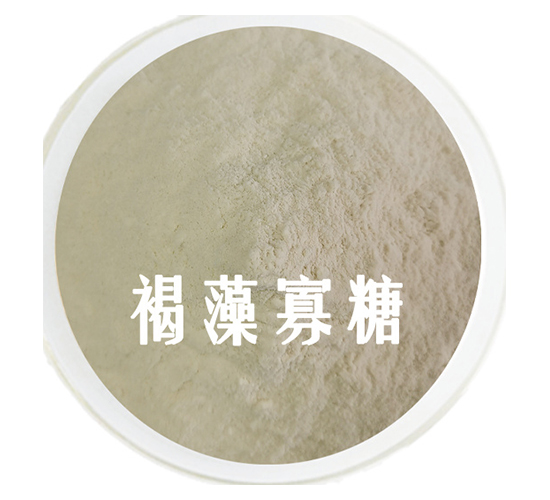 �������-��˹�r(n��ng)