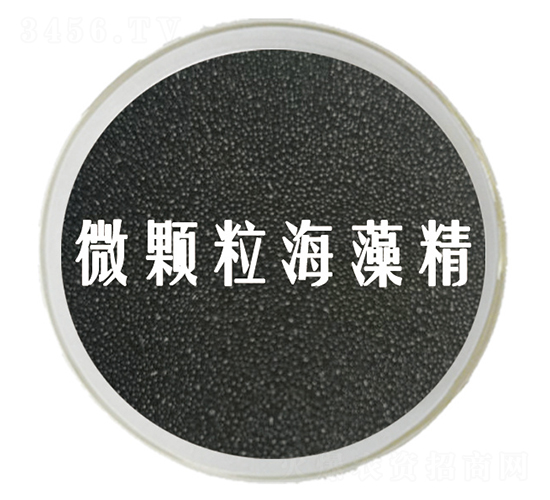 ΢�w�����徫-��˹�r(n��ng)