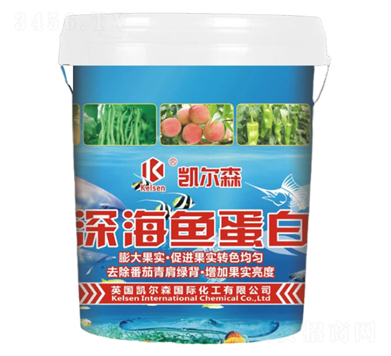 ��~����-�P��ɭ-����Ƽ�