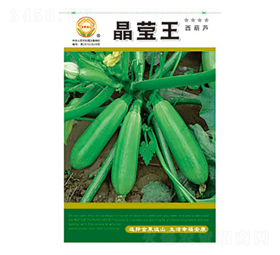 西葫蘆種子-晶瑩王-太樂種業(yè)
