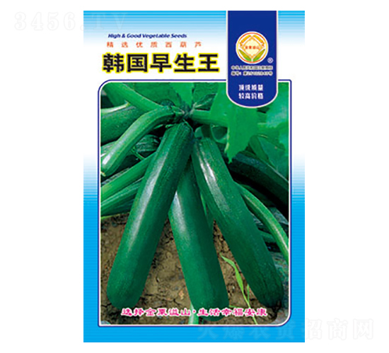 西葫蘆種子-韓國(guó)早生王-太樂(lè)種業(yè)
