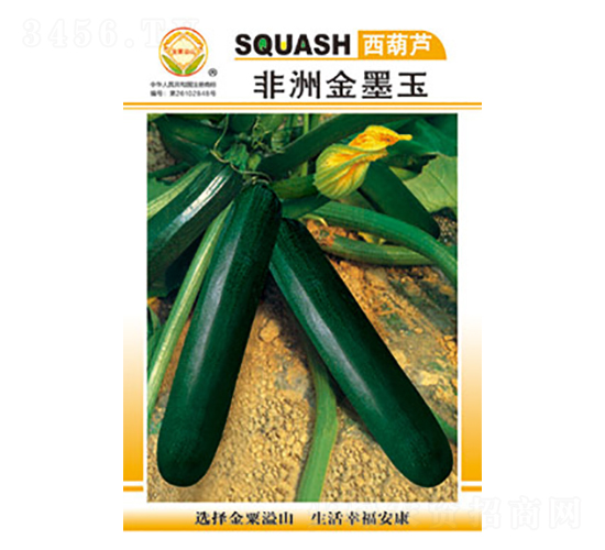 西葫蘆種子-非洲金墨王-太樂(lè)種業(yè)