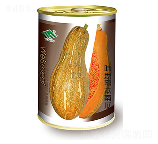 南瓜種子-味思蜜本南瓜-太樂種業(yè)