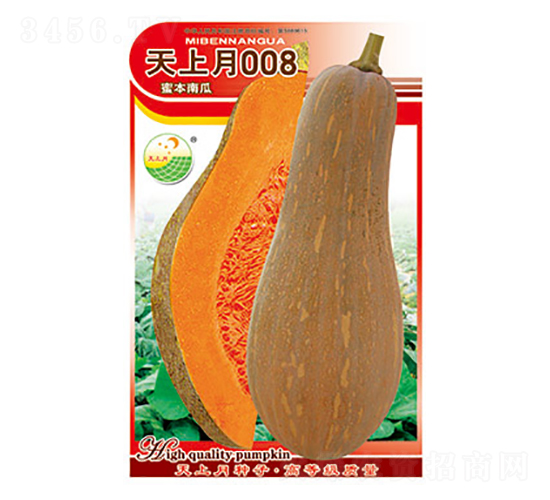 南瓜種子-天上月008-太樂種業(yè)