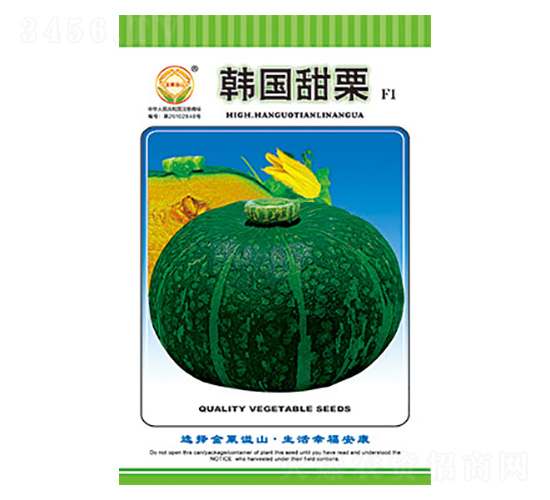 南瓜種子-韓國(guó)甜栗-太樂(lè)種業(yè)